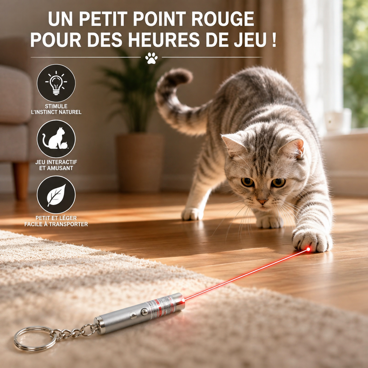 Laser pour chat