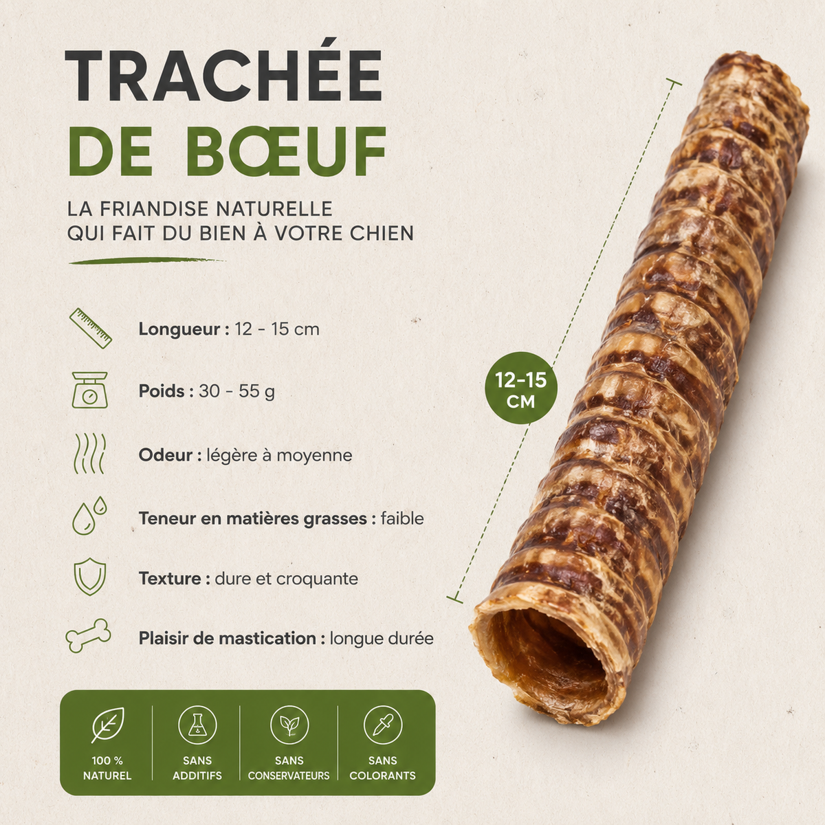 Trachée de beuf