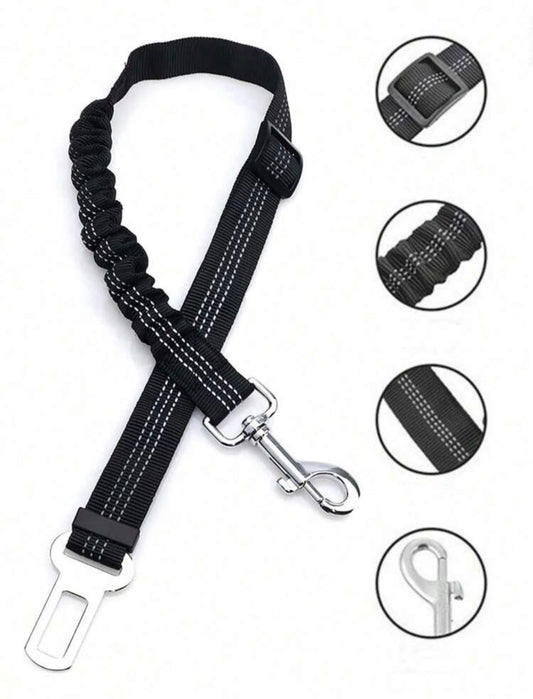 Ceinture de sécurité pour chien