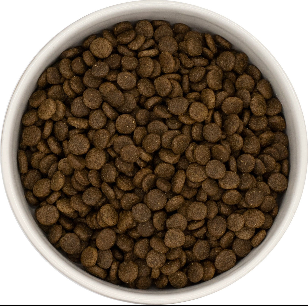Croquette Petite Race - Saumon & Pomme de terre - 10kg