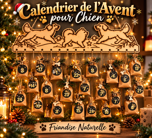 Calendrier de l’Avent pour Chien