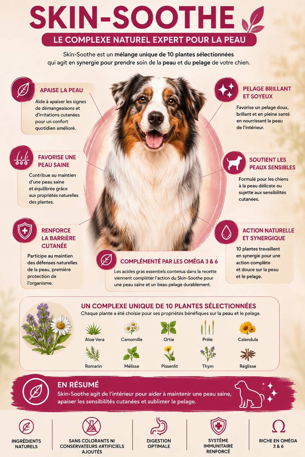 Croquette Chien Adulte - Saumon & Truite , Pomme de terre & Skin Soothe - 10kg