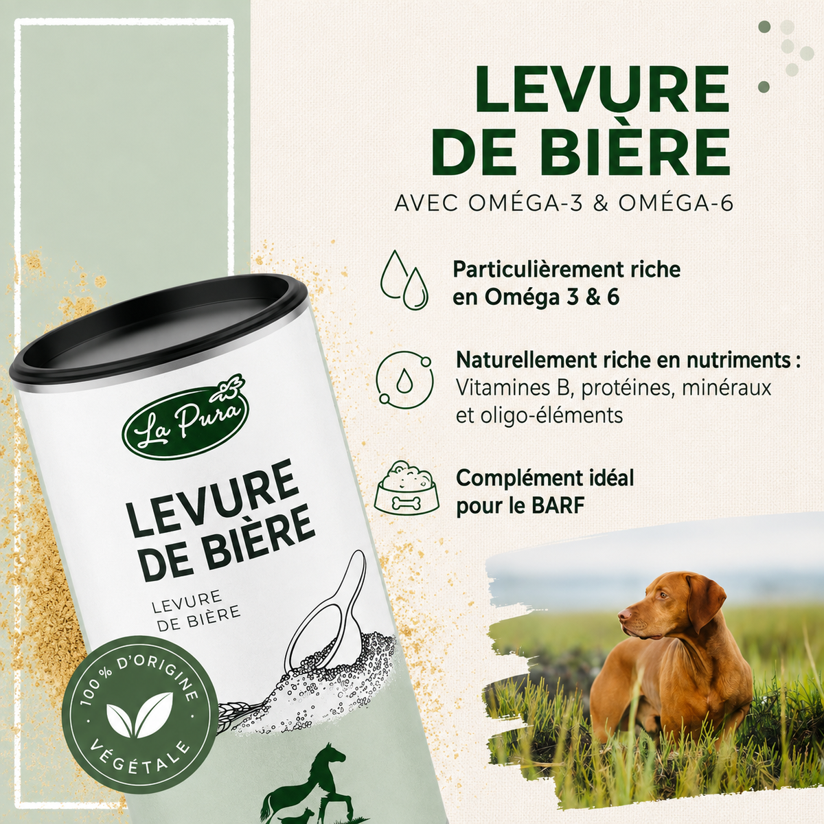 Levure de bière - 250 grammes