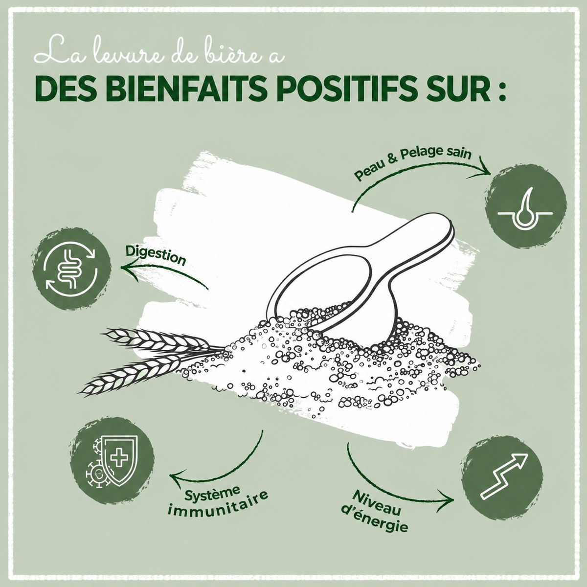 Levure de bière - 250 grammes