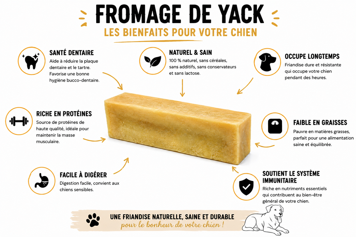 Fromage de Yack pour Chien - Taille L