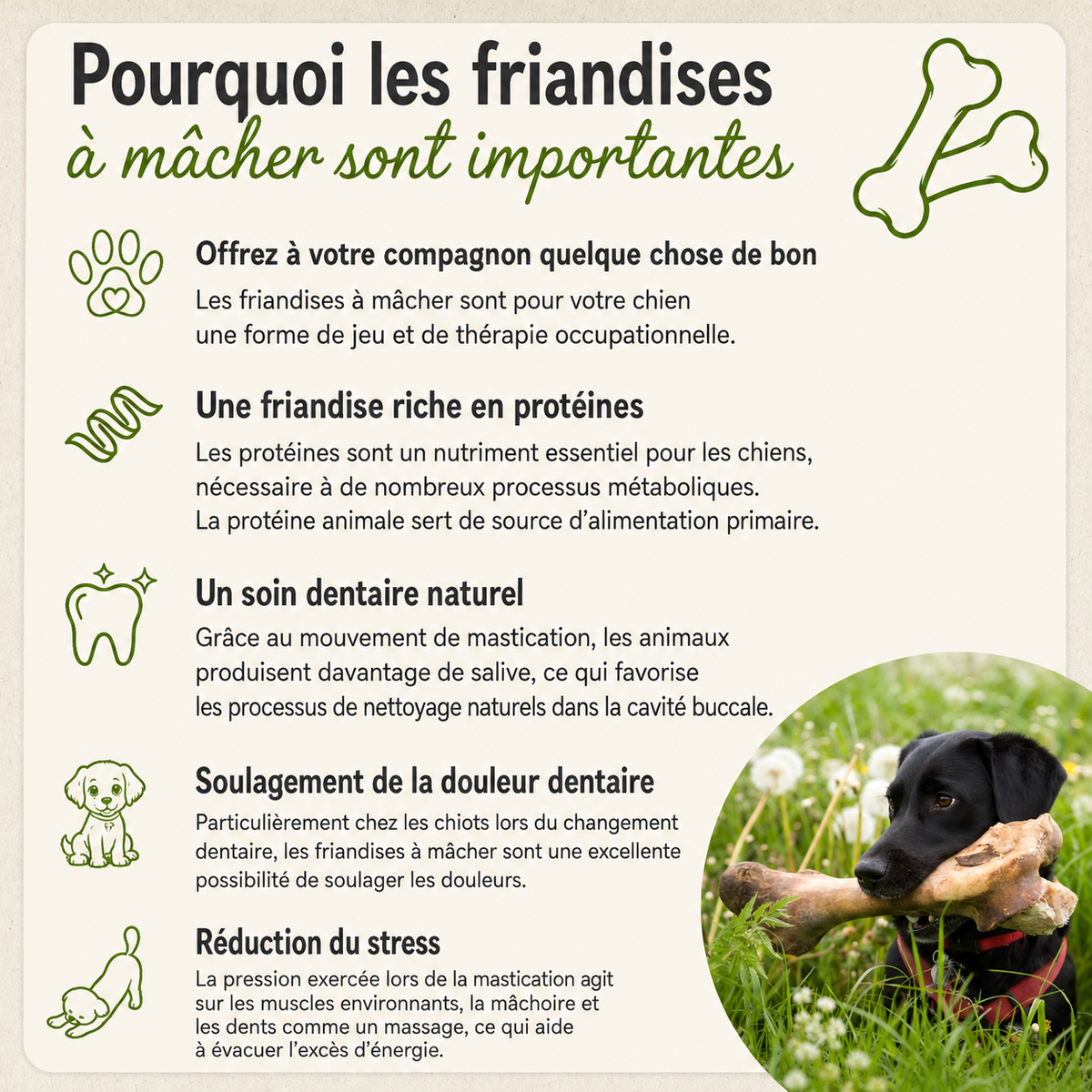 Nez de cochon entiers