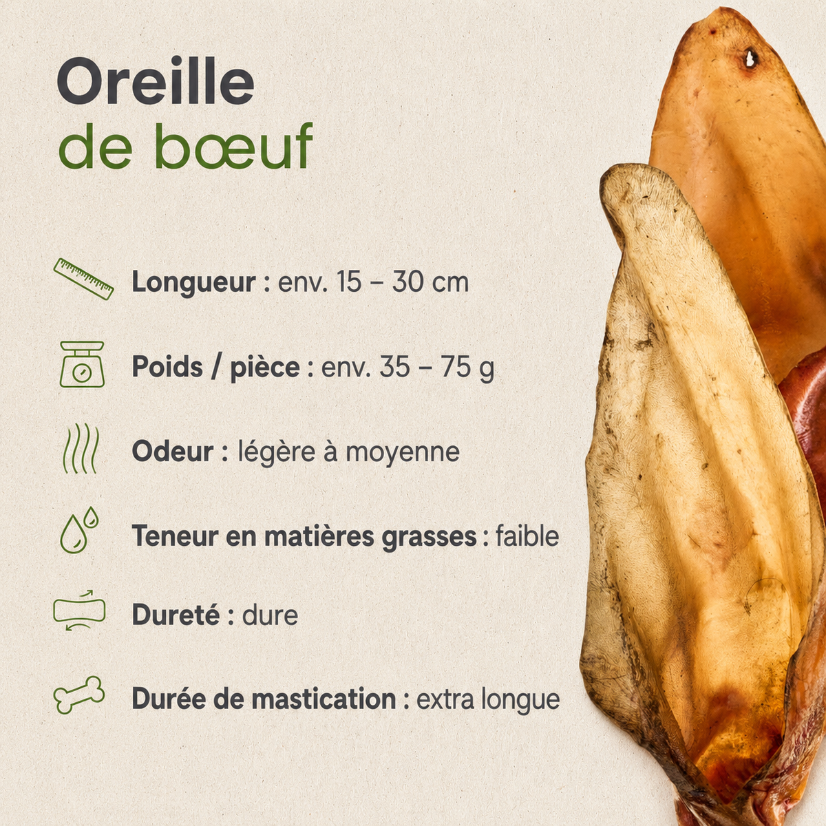 Oreille de Bœuf