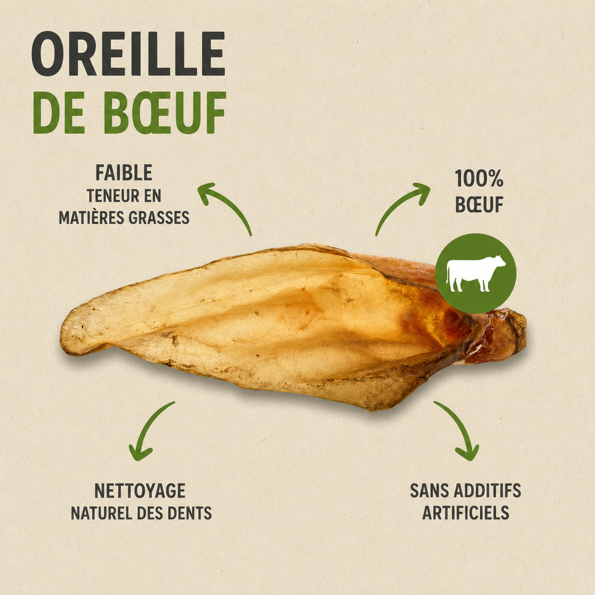 Oreille de Bœuf