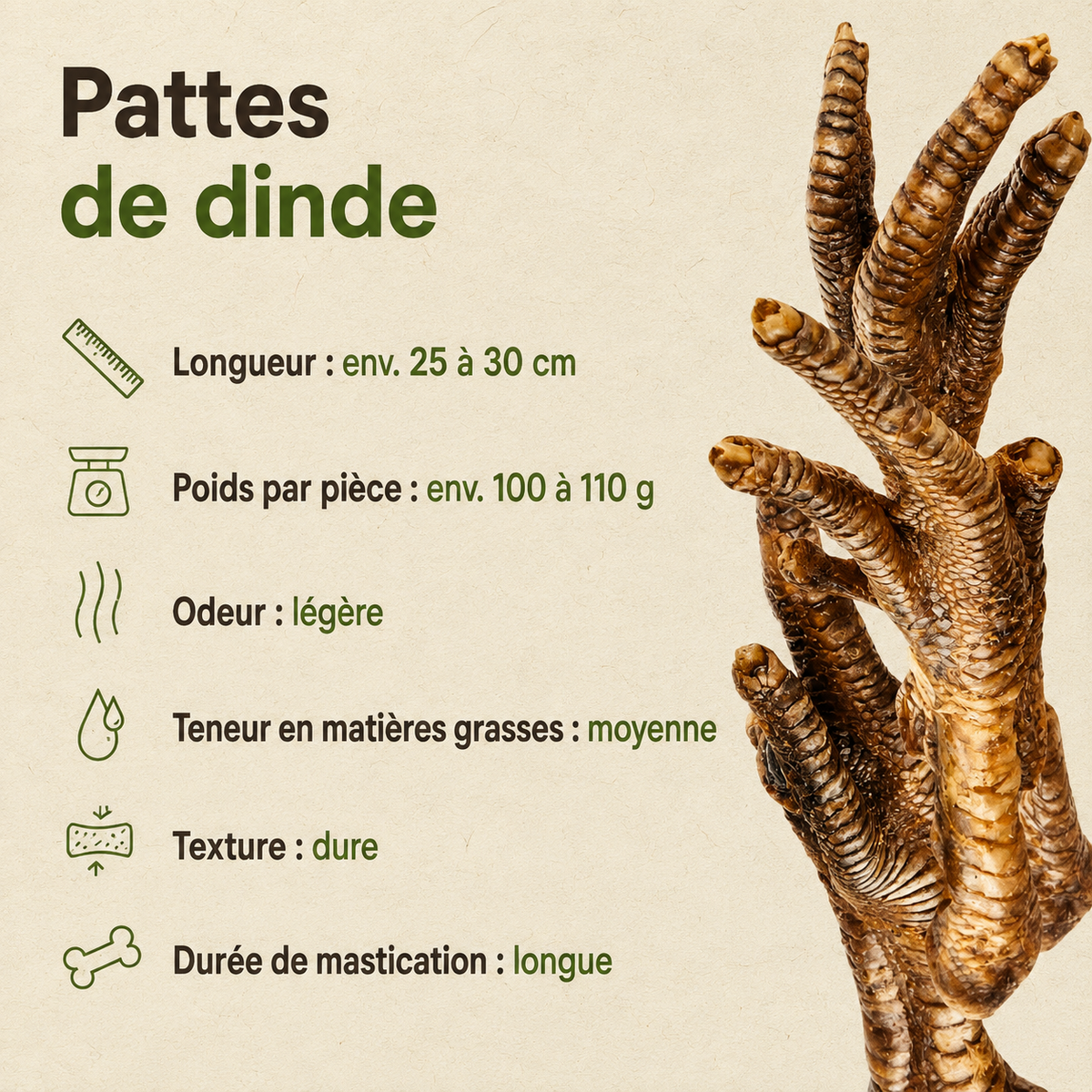 Patte de Dinde