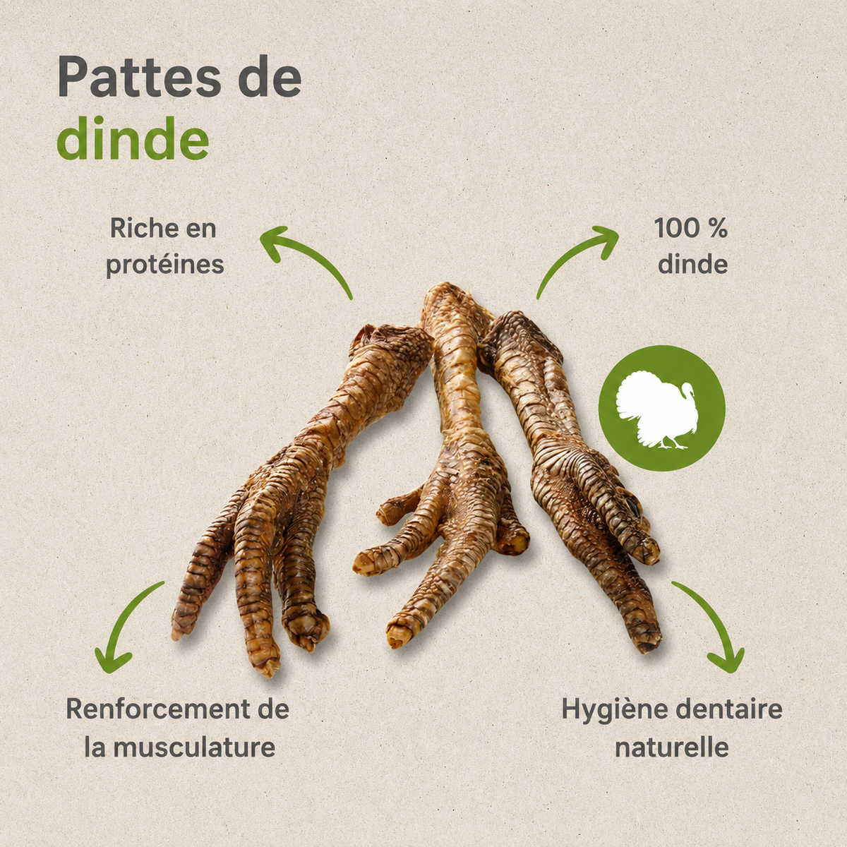 Patte de Dinde