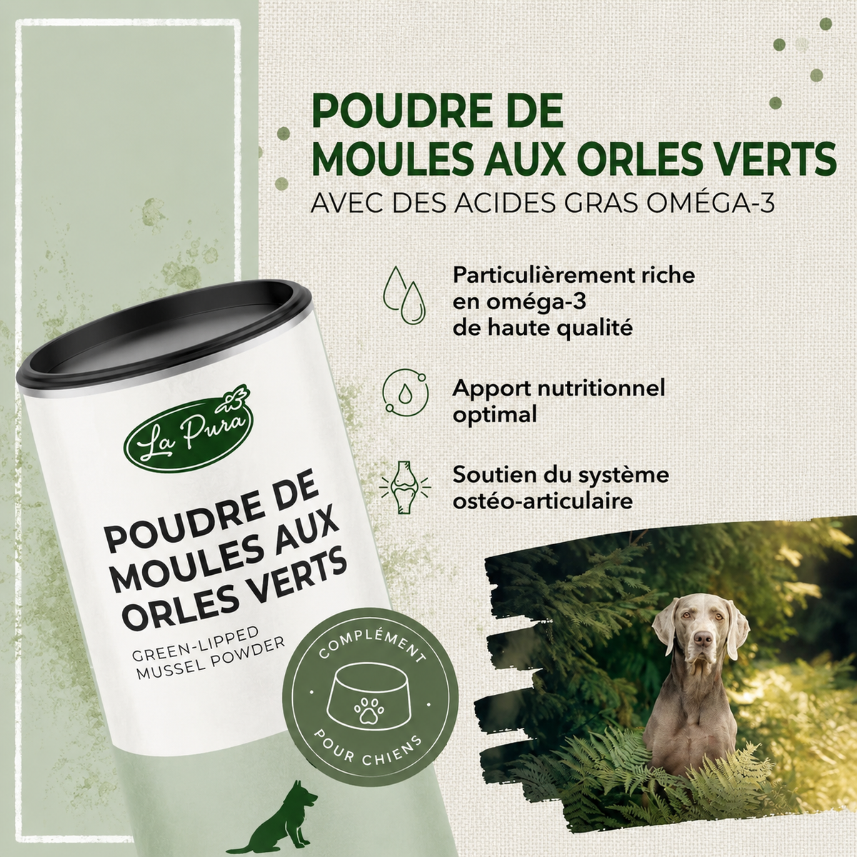 Poudre de Moules à Lèvres Vertes - 250 grammes